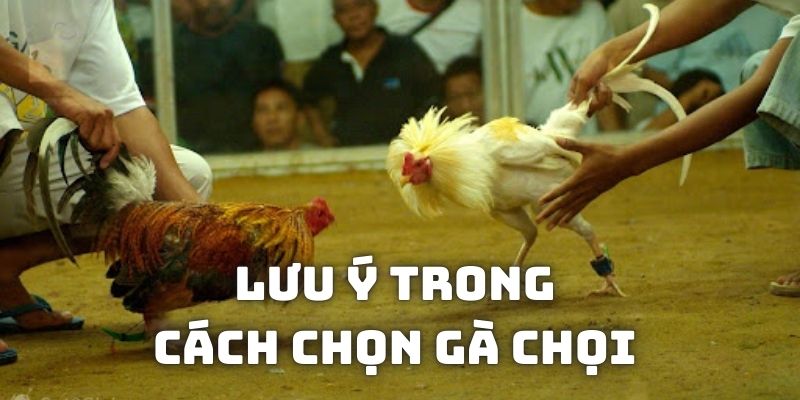 Vài điều cần quan tâm trong quá trình sàng lọc thần kê